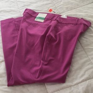 Old Navy Pixie Mid Rise Pants